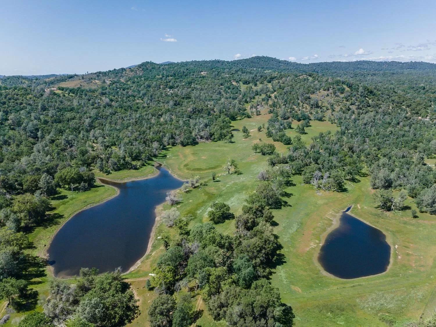 Rolling Oaks Ranch - 200 Acres Of Lakeside Beauty & Countryside Serenity Марипоса Экстерьер фото